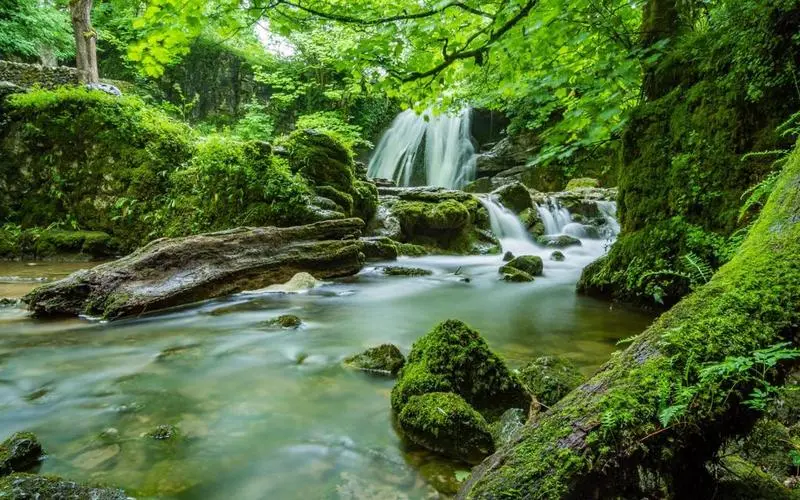 绿色高标准环保
